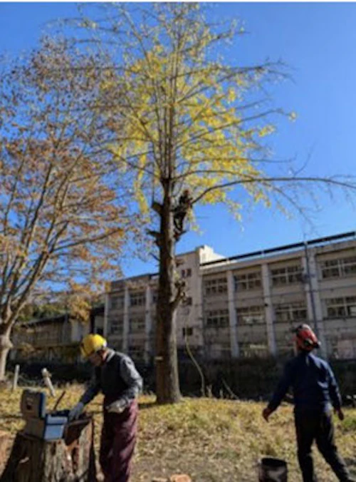 安全伐採技術者育成事業 第3回 研修報告の活動写真