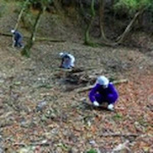 現場セミナー　郡山城址の手入れの活動写真