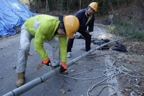番外編現場セミナー　中小田古墳群の山林整備（竹林等伐採業務）の活動写真