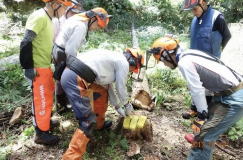 番外編現場セミナー：安全に木を伐る研修会（第1回）の活動写真