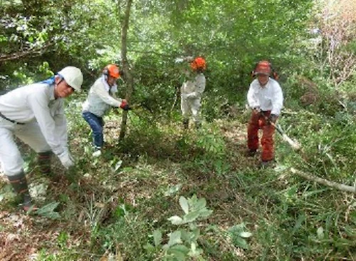 植樹祭の事前準備に参加しての活動写真