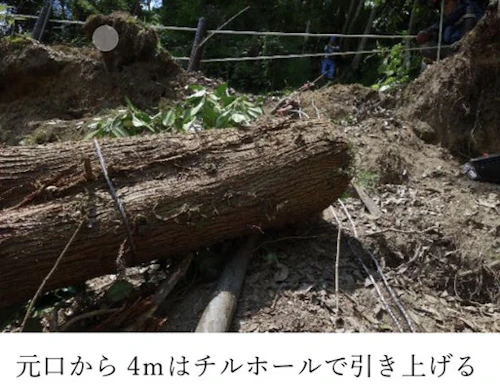 現場セミナー：市史跡田屋城跡の森林整備の活動写真