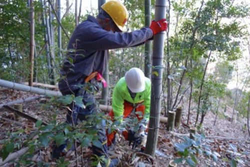 中小田古墳群を守り活かす山林整備事業活動（PART　Ⅴ）の活動写真
