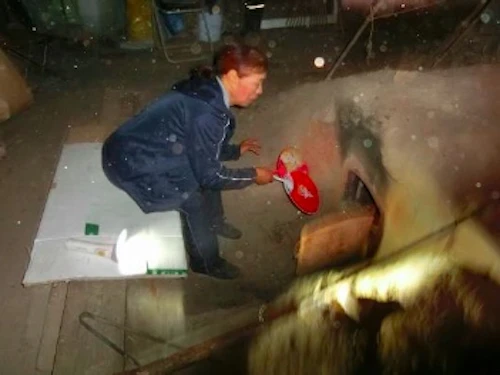 第257回現場セミナー炭焼き体験会報告の活動写真