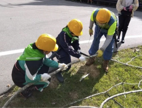現場セミナー：吉和中学校間伐体験の活動写真