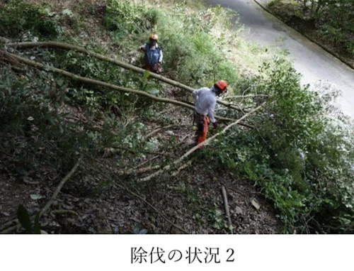 現場セミナー：市史跡田屋城跡の森林整備の活動写真