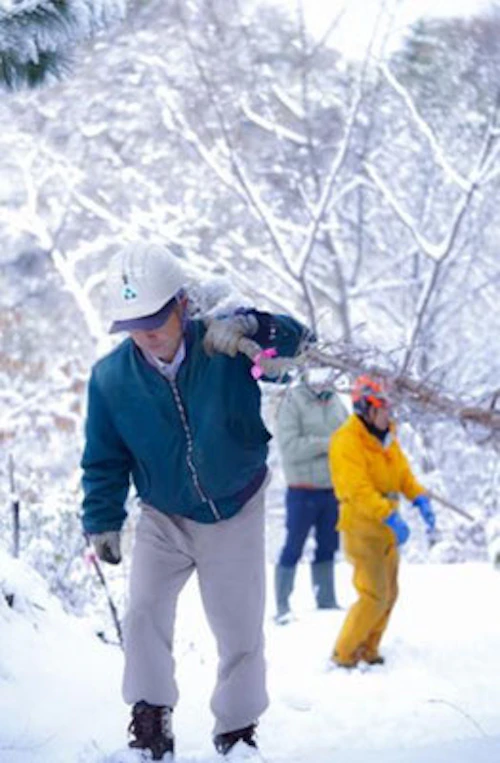 現場セミナー：鬼ケ城山 陽光桜植樹の活動写真