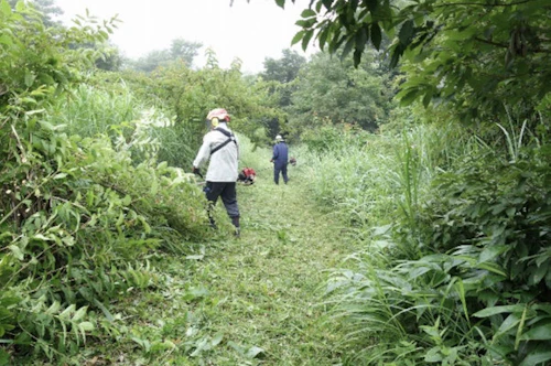 番外編現場セミナー　小室井山登山道の整備（草刈り）の活動写真