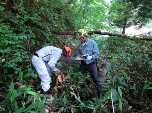 番外編現場セミナー：里山林整備事業の報告の活動写真