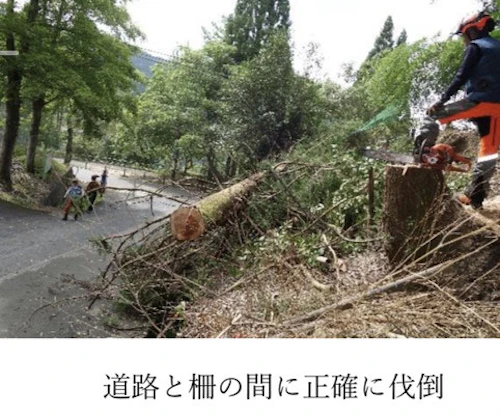現場セミナー：市史跡田屋城跡の森林整備の活動写真