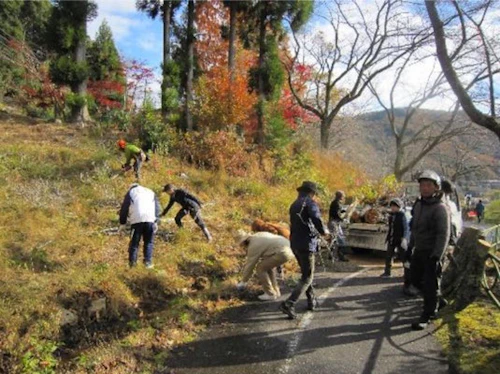 番外編現場セミナー「桜守プロジェクト 土師ダム湖畔のさくら並木の手入れ」の活動写真