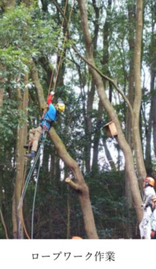 現場セミナー：田屋城跡の小鳥の森に巣箱の設置の活動写真