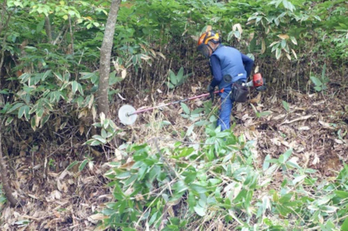 番外編現場セミナー：北広島町森づくり交付金事業（里山林整備事業）の活動写真