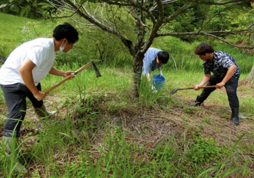 第262回現場セミナー： 緑の活力復元プロジェクト実証事業の活動写真