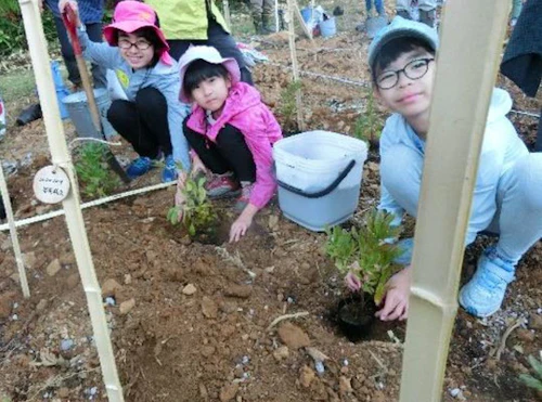 東京五輪記念植樹祭に参加しての活動写真