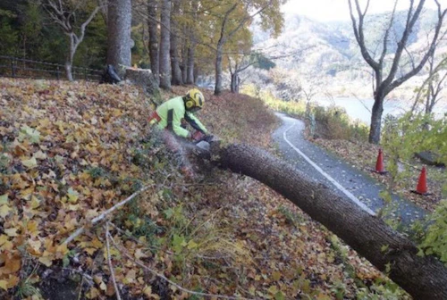 番外編現場セミナー：第39回土師ダム桜守プロジェクト 活動報告の活動写真