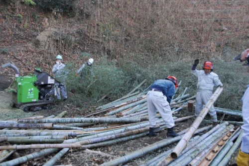 番外編現場セミナー　中小田古墳群の山林整備（竹林等伐採業務）の活動写真