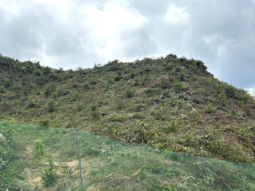 下草刈り完了状況