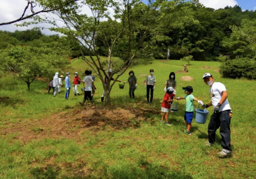 第262回現場セミナー： 緑の活力復元プロジェクト実証事業の活動写真