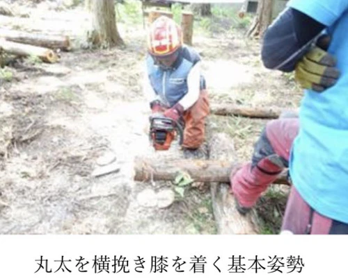 番外編現場セミナー：安全に木を伐る研修会（第2回）の活動写真