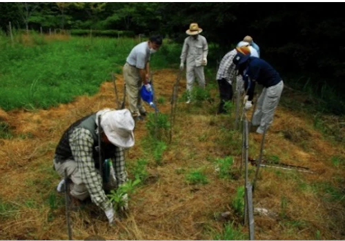 「山の日」祝日５周年記念植樹祭報告の活動写真