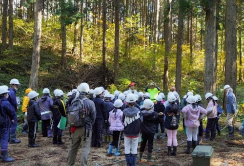 令和6年12月 庄原市森林体験プログラム事業実施業務報告書概要の活動写真