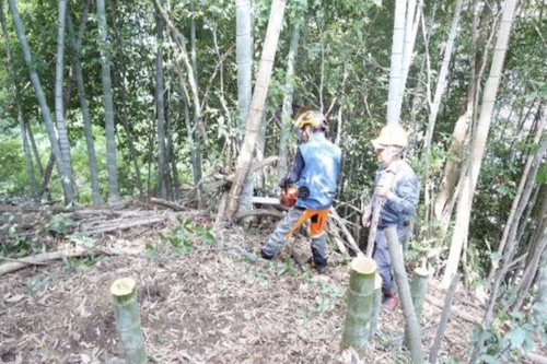 第271回現場セミナー：中小田古墳群の山林整備(竹林等伐採)第1回の活動写真