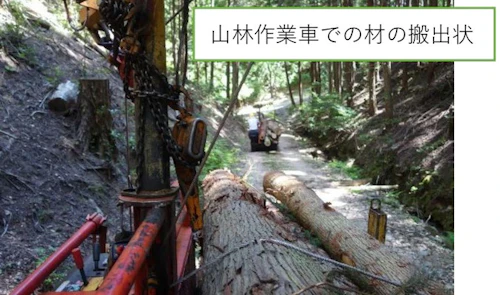 歴史をつなぐ「お玉ヶ池」再生プロジェクト完了報告書の活動写真