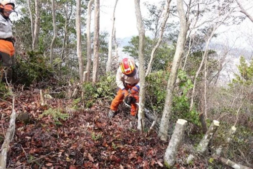 現場セミナー：鬼ケ城山 陽光桜植樹の活動写真