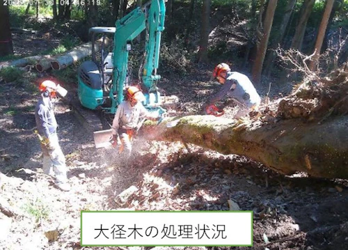 歴史をつなぐ「お玉ヶ池」再生プロジェクト完了報告書の活動写真