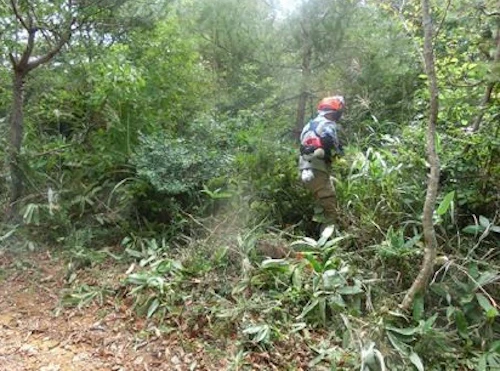 植樹祭の事前準備に参加しての活動写真