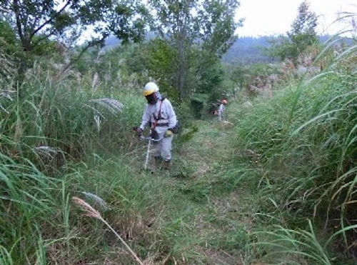 植樹祭の事前準備に参加しての活動写真