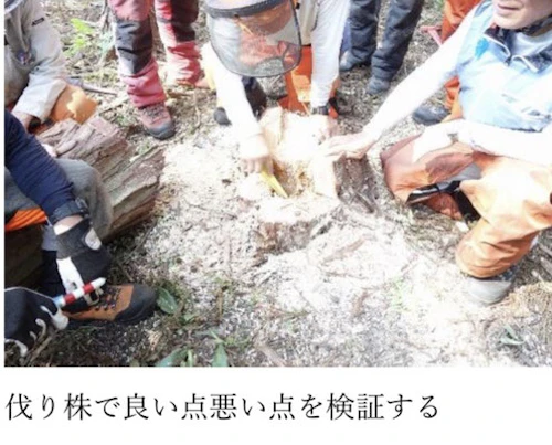 番外編現場セミナー：安全に木を伐る研修会（第2回）の活動写真