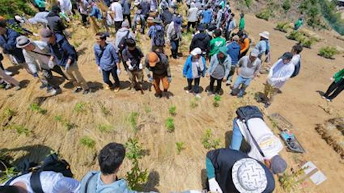 ドローンによる上空からの植栽の様