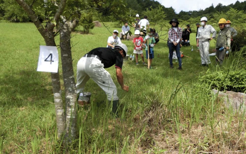 第262回現場セミナー： 緑の活力復元プロジェクト実証事業の活動写真