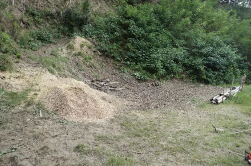番外編現場セミナー：中小田古墳群を守り活かす山林整備（竹・雑木のチッパー作業）の活動写真