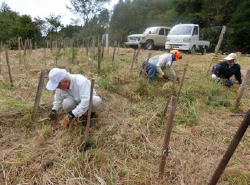 植樹祭の事前準備に参加しての活動写真