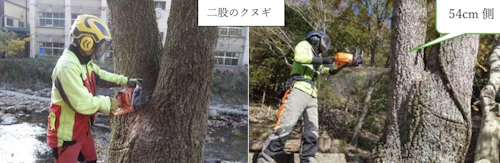 安全伐採技術者育成事業 第3回 研修報告の活動写真