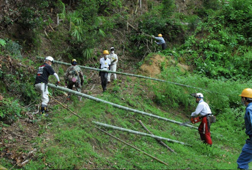 第261回現場セミナー：小田古墳群を守り活かす山林整備事業の活動写真