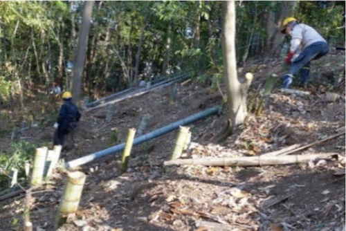 中小田古墳群を守り活かす山林整備事業活動（PART　Ⅴ）の活動写真