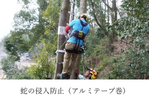 現場セミナー：田屋城跡の小鳥の森に巣箱の設置の活動写真