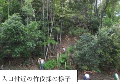 第 267 回現場セミナー　中小田古墳群の山林整備の活動写真