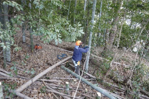 番外編 中小田古墳群を守り活かす山林整備事業（PART　Ⅵ）の活動写真