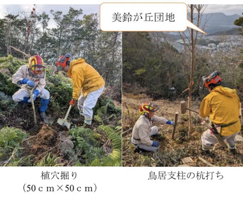 現場セミナー：鬼ケ城山 陽光桜の植樹に汗を流しての活動写真