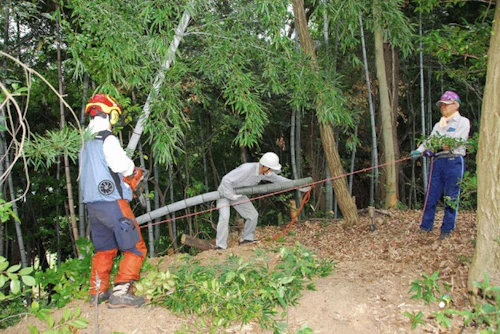 第267回現場セミナー 中小田古墳群の山林整備(竹林等伐採)の活動写真