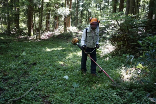 番外編現場セミナー：植樹祭の事前準備の活動写真