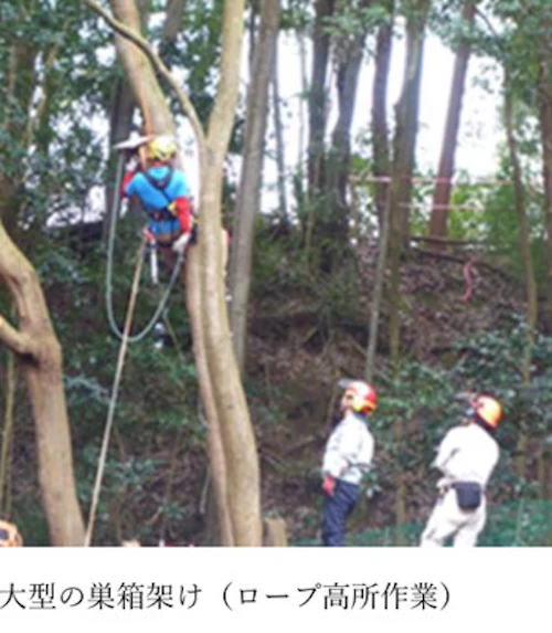 現場セミナー：田屋城跡の小鳥の森に巣箱の設置の活動写真