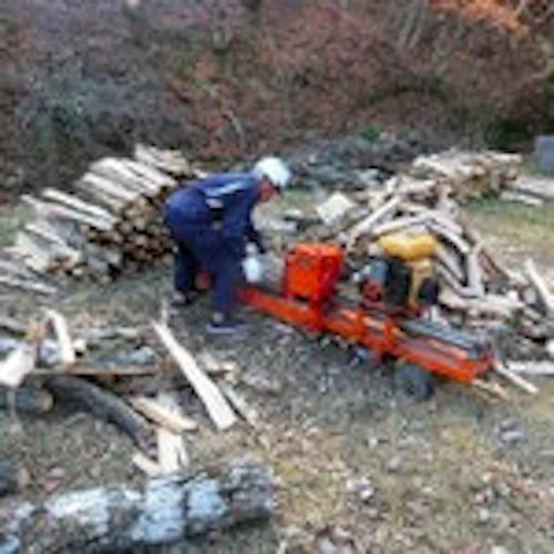 番外編現場セミナー　里山林整備の完了報告の活動写真