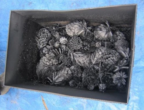 番外編現場セミナー：炭焼体験講座（炭出し）と花見会の活動写真
