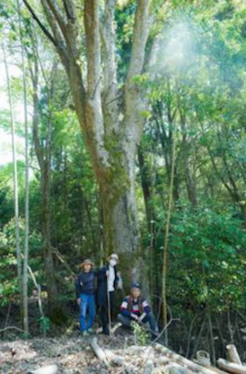 Go to Forest! 2025 @田屋城址の活動写真